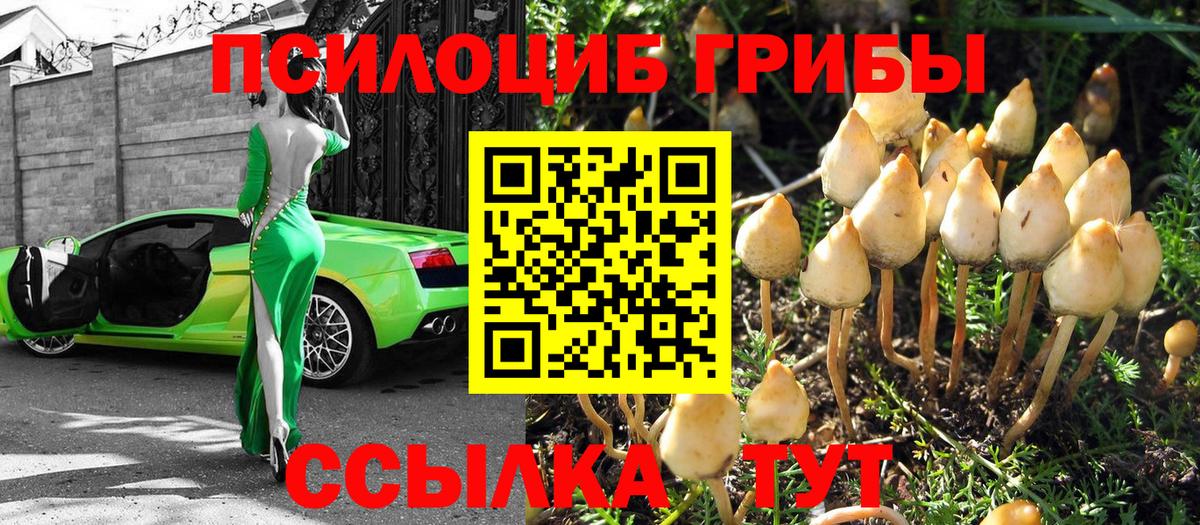 Псилоцибиновые грибы GOLDEN TEACHER Калач-на-Дону